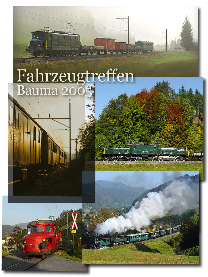 Fahrzeugtreffen Bauma, 2005, Tsstal, DVZO, Be 6/8 13302, Ae 4/7, Ed 2 x 2/2, RBe 2/4