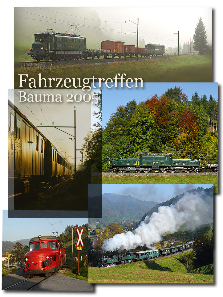 Fahrzeugtreffen Bauma, 2005, Tösstal, DVZO, Be 6/8 13302, Ae 4/7, Ed 2 x 2/2, RBe 2/4